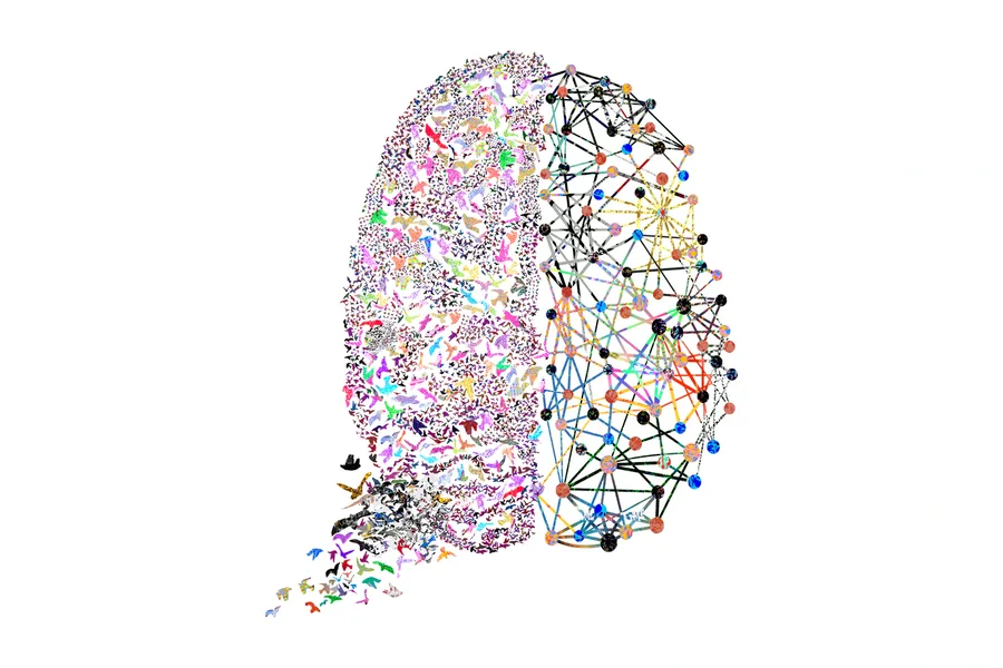 A brain drawn half as a flock of birds, half as a network